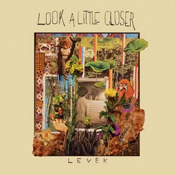 Look A Little Closer CD / LP